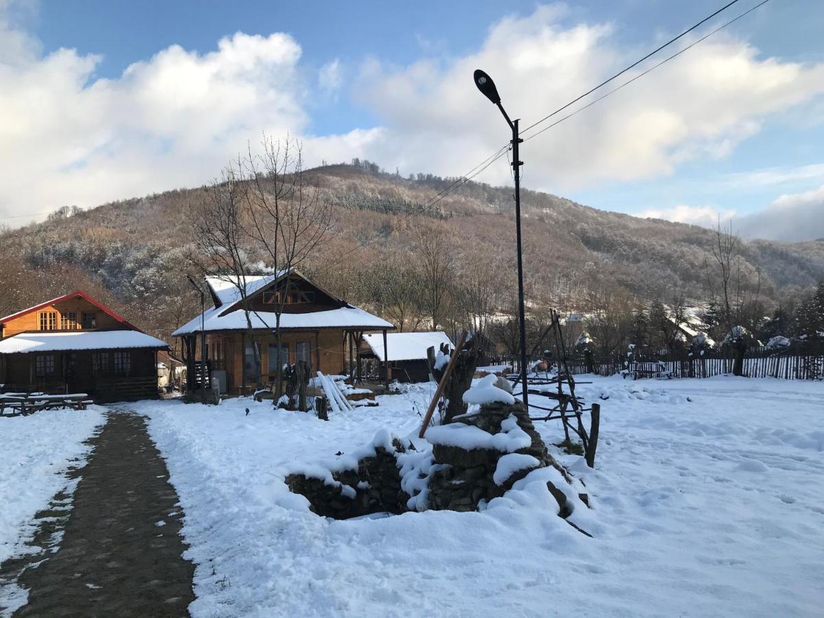 Casutele Doftanei Teşila Exterior foto